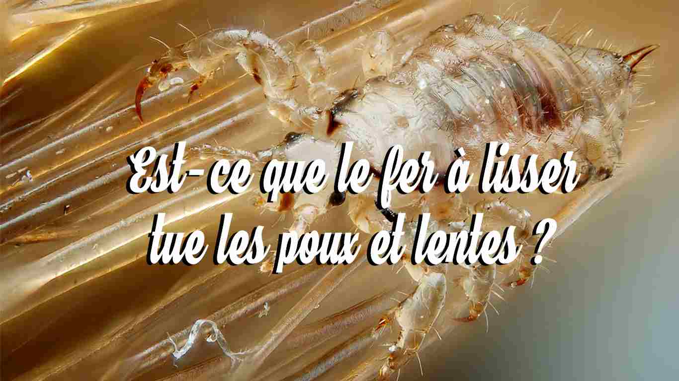 Est-ce que le fer à lisser peut tuer les poux