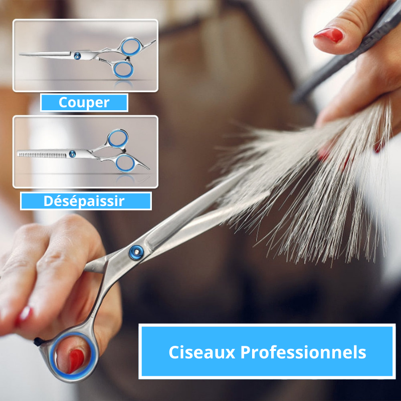 Fork Cutting Scissors Kit