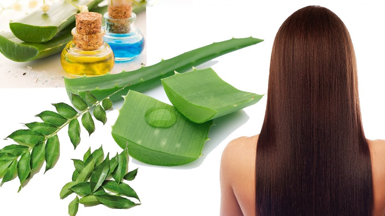 10 Soins Anti Frisottis Faits Maison